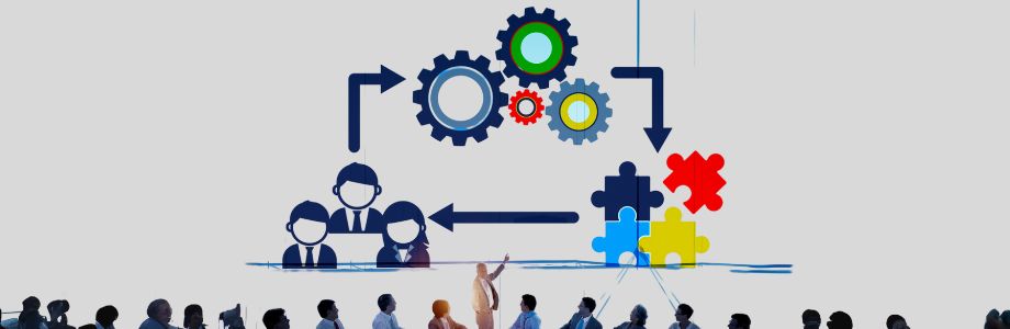 Our areas of activity