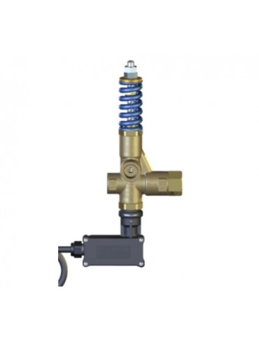 Βαλβίδα εκφόρτωσης -32 MPa-4550 psi με μικροδιακόπτη