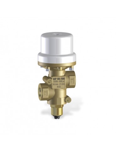 Πιστόλι ψεκασμού με ράβδους 110 MPa-16200psi: RP 80 / 500